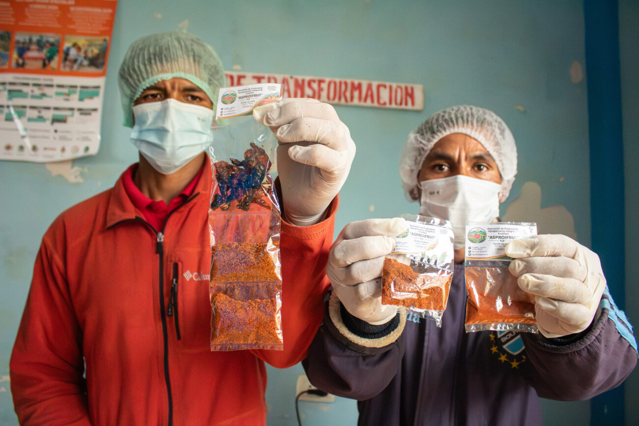 Integrantes de la OECA ASPROIFRUT presentan locoto deshidratado y en polvo, productos desarrollados para aprovechar la producción local y reducir las pérdidas en Frutillani, municipio de Inquisivi.